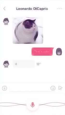 免费DDOS攻击测试工具软件程序维护界面